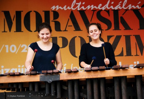 Marimba 03