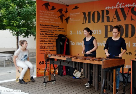 Marimba 04