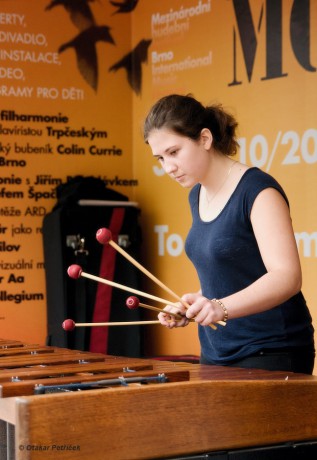 Marimba 06