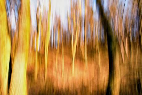 _DSC1807a-2x3-1024