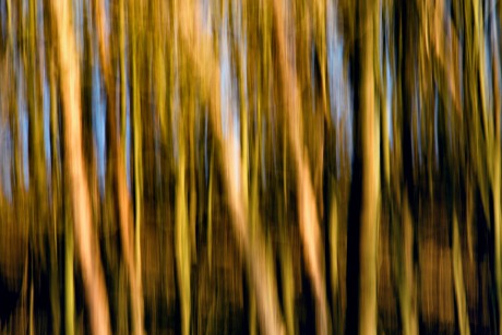 _DSC1801a-2x3-1024