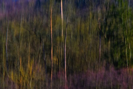 _DSC4543a-2x3-1024
