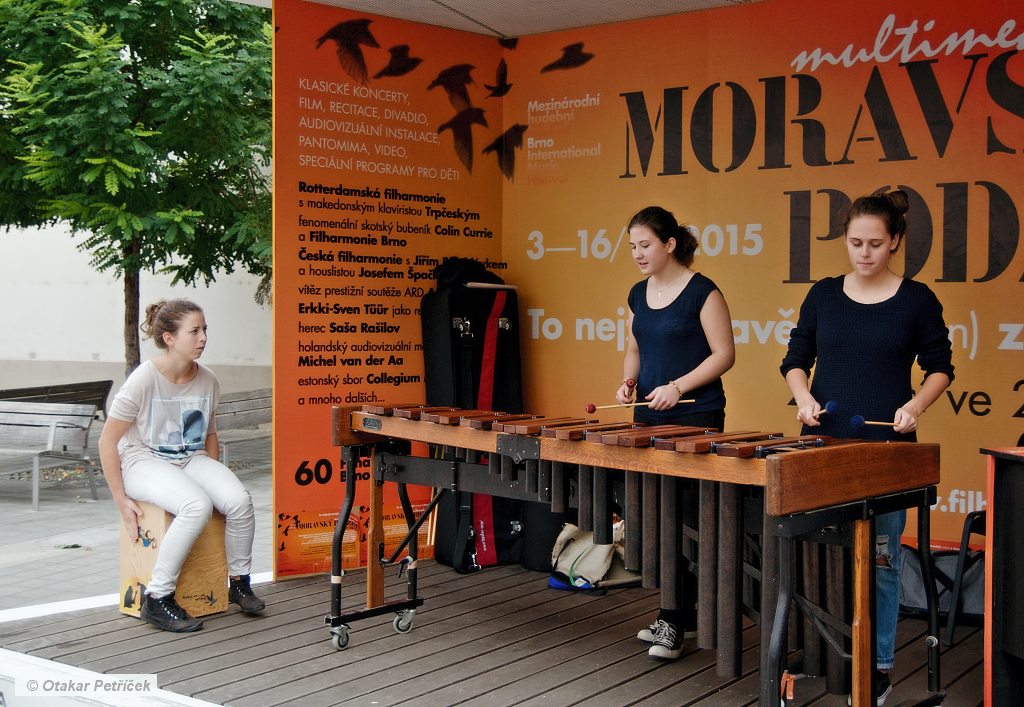 Marimba 04