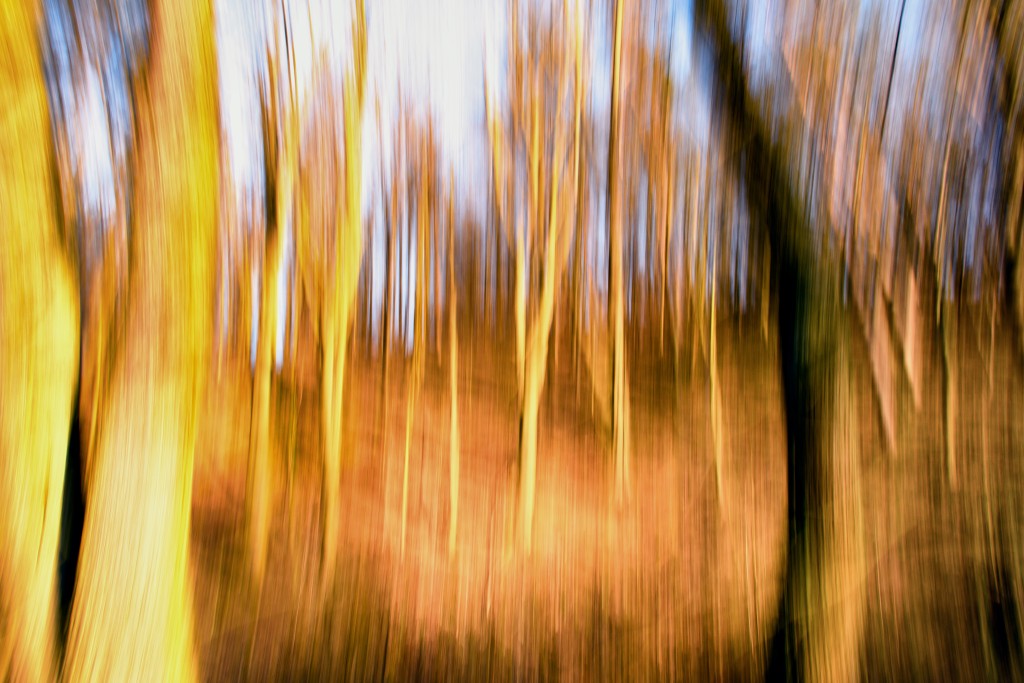 _DSC1807a-2x3-1024