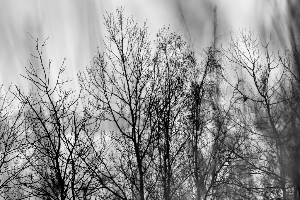 _DSC2152a-2x3bw-1024