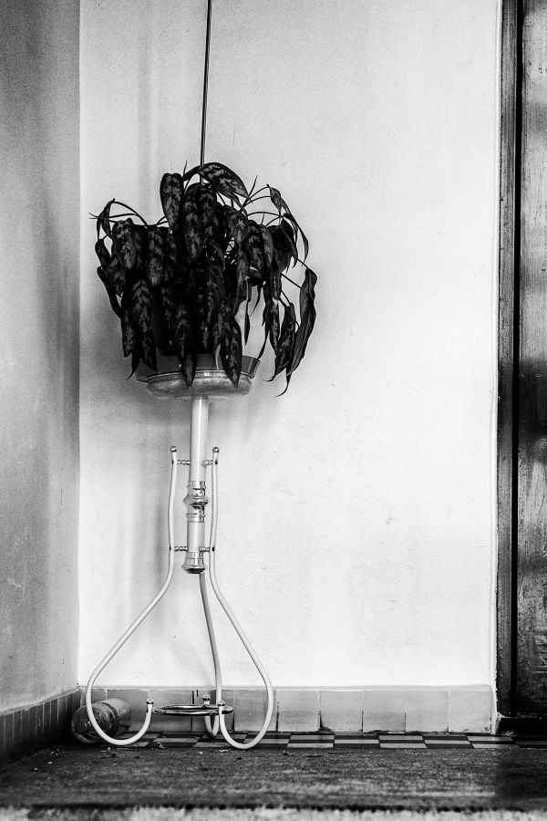 _DSC1442a-2x3bw-1024