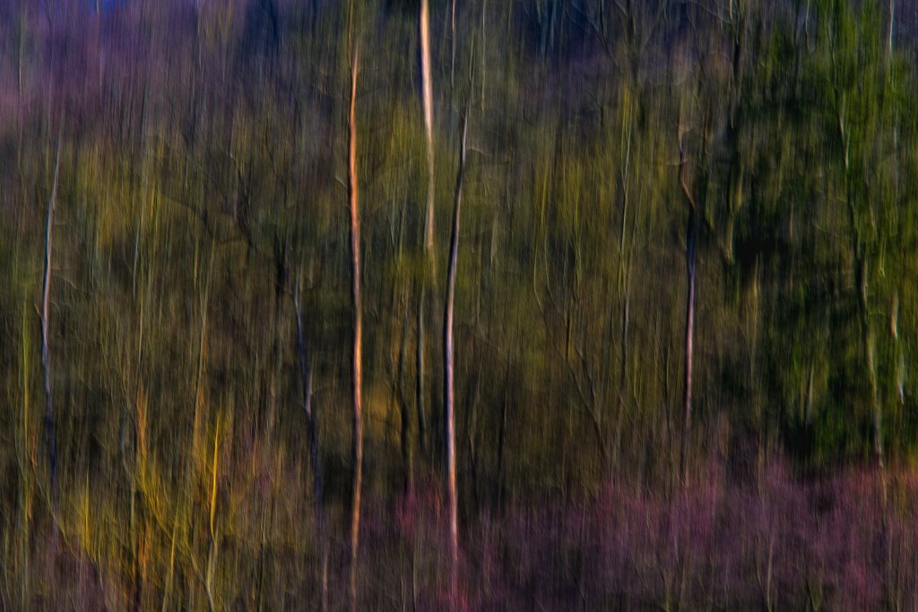 _DSC4543a-2x3-1024