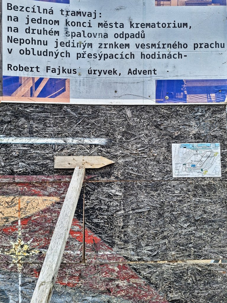 20250225_102551-a-3x4-web