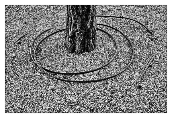 _DSC7408-a-2x3-web-ico