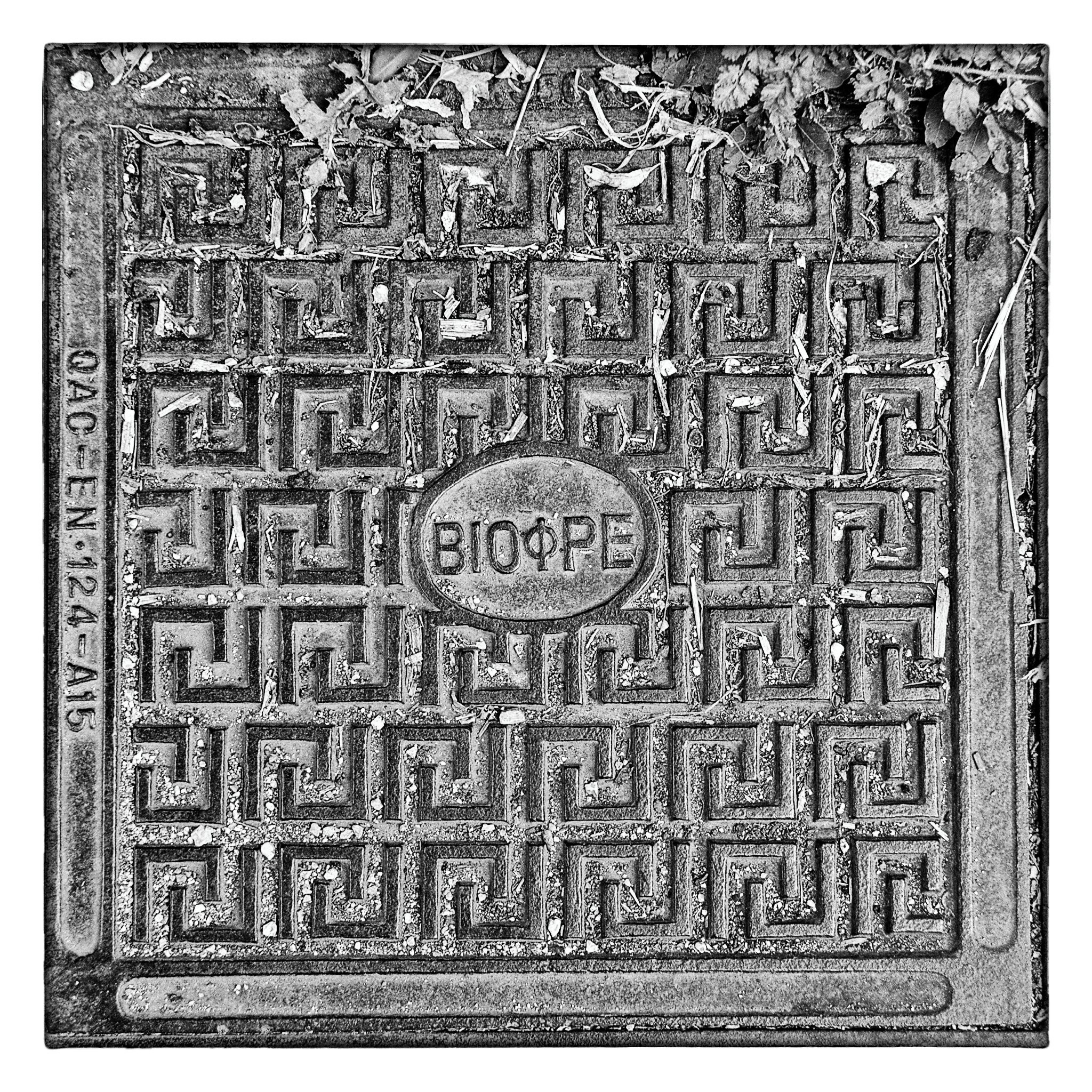 _DSC3120-resize-1x1-Zonerama