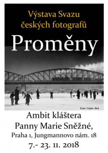 promenyplagatik.jpg